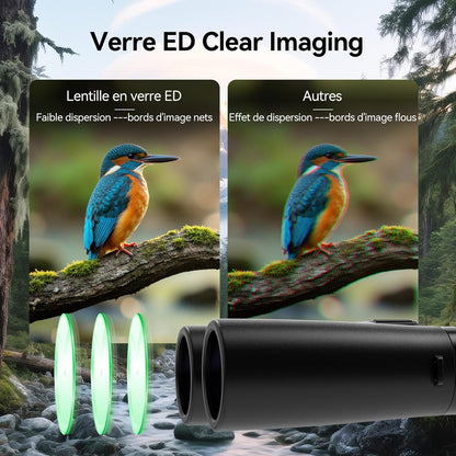 Svbony Upgraded SV202 10x42 ED Binoculars, BAK4 Prism FMC Lens, IPX7 Waterproof, Phase Correction, Dielectric Prism Coating, Wide Angle Lens for Adults, Bird Watching - QUORE