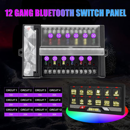 Chelhead RGB 12-gang Bluetooth afstandsbediening schakelpaneel, batterijbediening, kortstondige pulsschakelaar voor led-lichtbalkbediening, waterdichte app