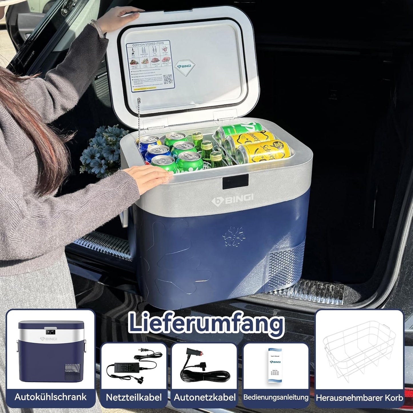BINGI Compressor-koelbox, 22 l, mini-draagbare elektrische koelkast, 12/24 V DC, elektrische vriezer, draagbare vriezer voor auto, vrachtwagen, picknick, camping en thuisgebruik