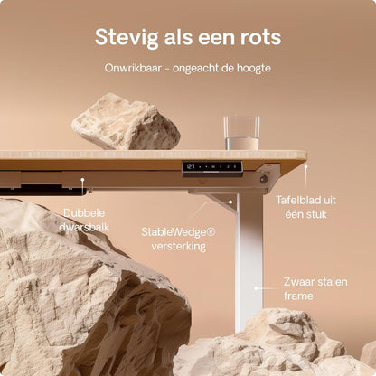 Desktronic HomePro Desk - Height Adjustable 120 x 60 cm - Fast Twin-Motor Sit-Stand Desk - Very Stable Electric Standing Desk - Made of One Piece Bamboo Table Top - Touch Screen Control - QUORE