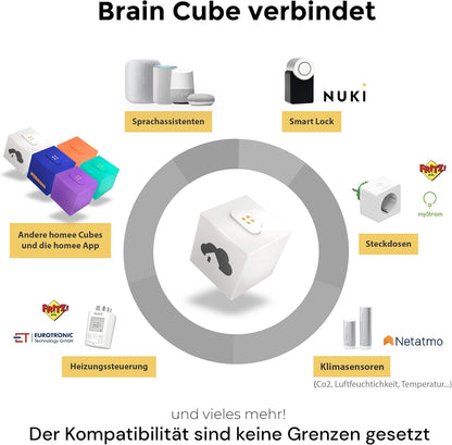 homee Modulaire Smart Home centraal, Brain + Zigbee