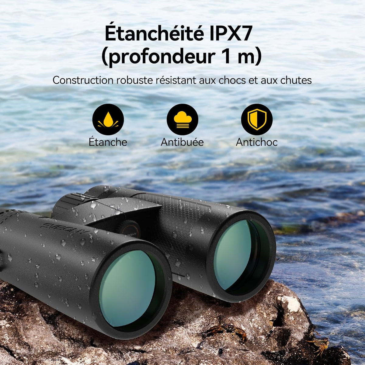 Svbony Upgraded SV202 10x42 ED Binoculars, BAK4 Prism FMC Lens, IPX7 Waterproof, Phase Correction, Dielectric Prism Coating, Wide Angle Lens for Adults, Bird Watching - QUORE