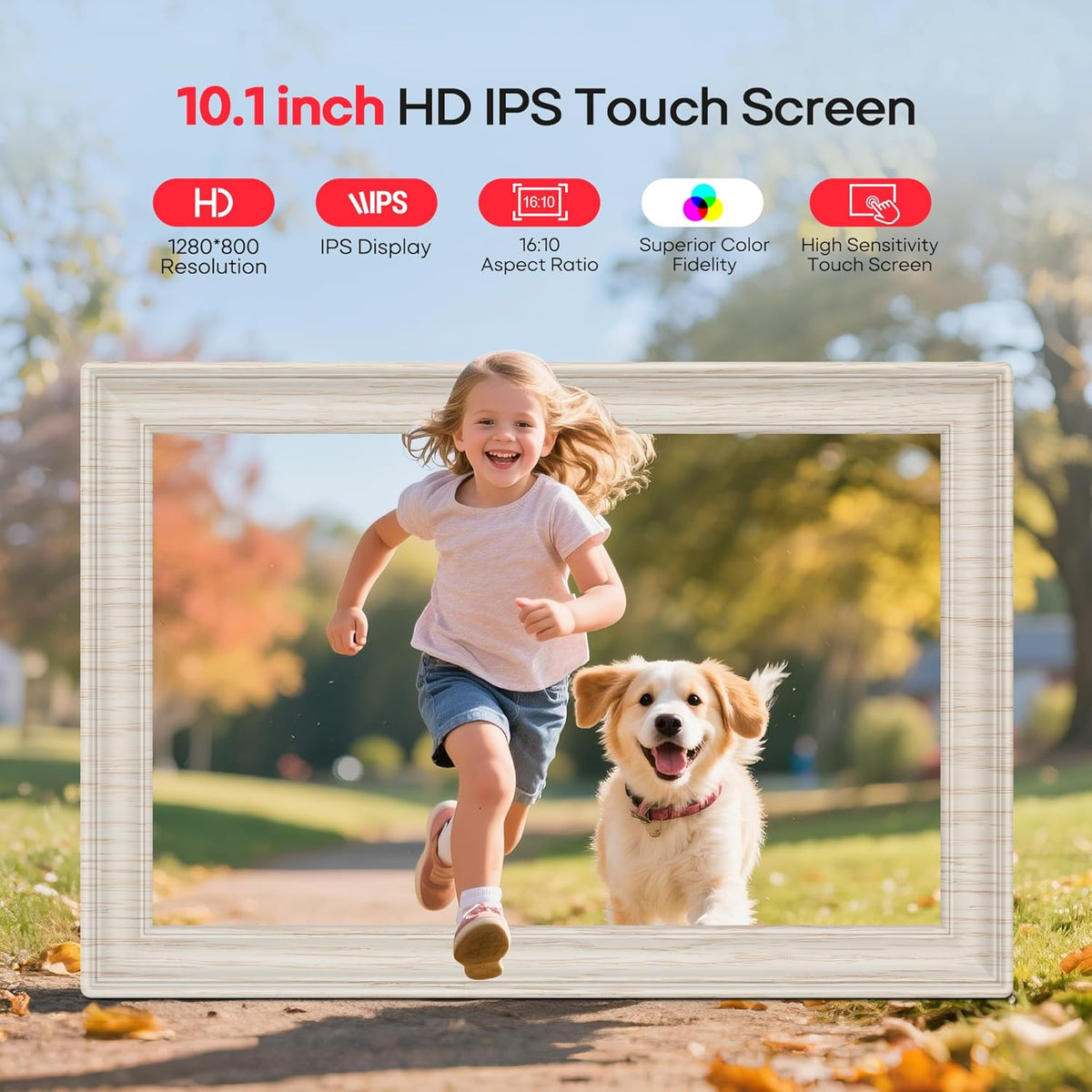 Digitale fotolijst – Digitale lijst – Fotodisplay – Wifi-fotolijst – Berkenhouten fotolijst – 10,1 Inch – 32 GB Opslag