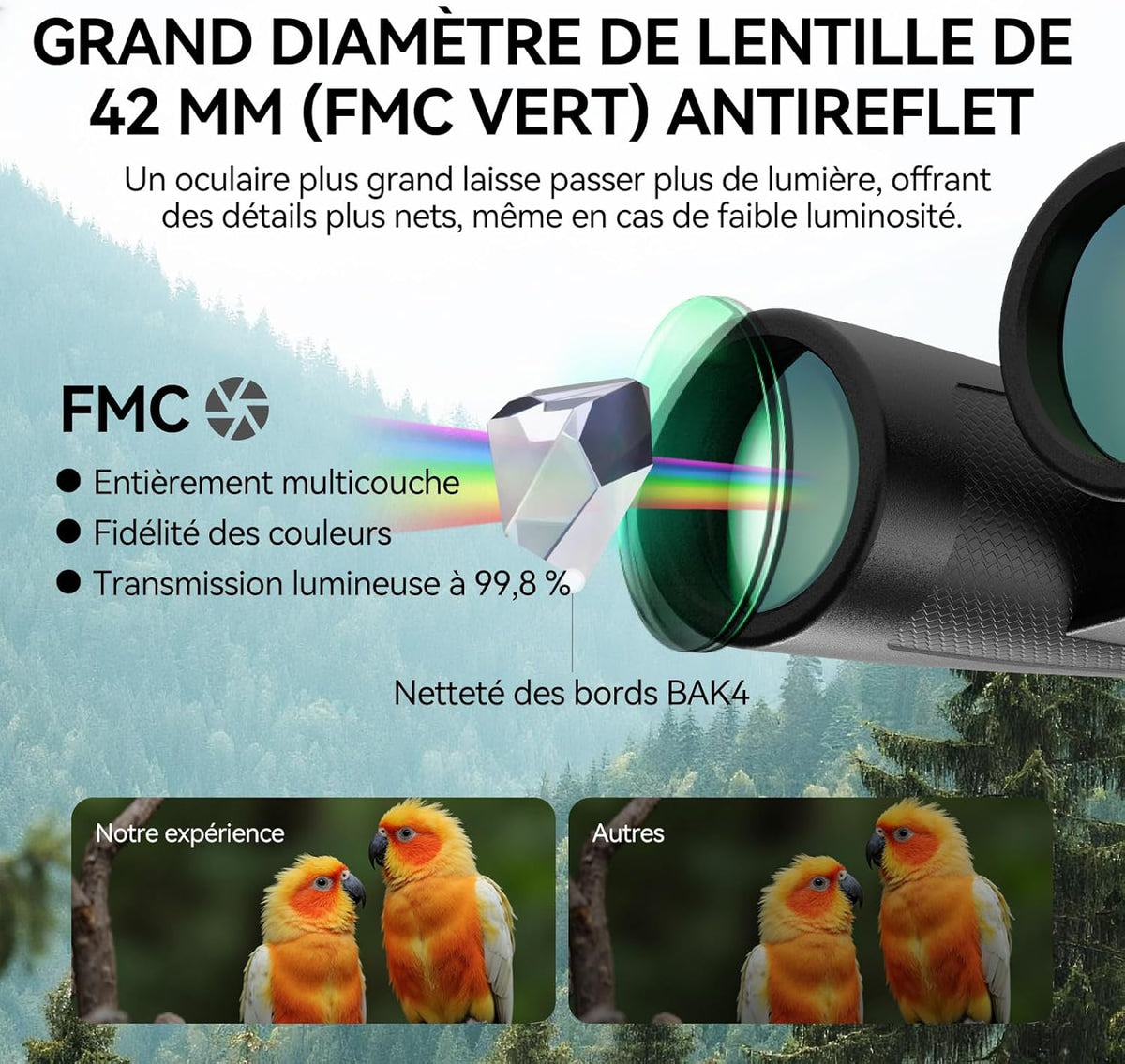 Svbony Upgraded SV202 10x42 ED Binoculars, BAK4 Prism FMC Lens, IPX7 Waterproof, Phase Correction, Dielectric Prism Coating, Wide Angle Lens for Adults, Bird Watching - QUORE