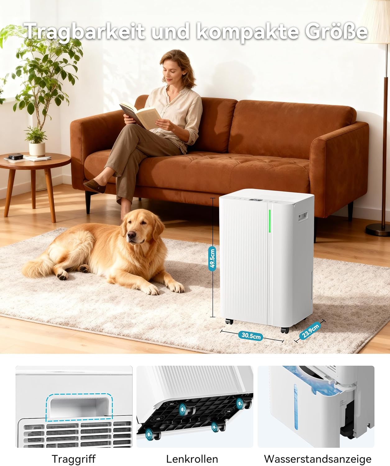 EUHOMY Elektrische luchtontvochtiger 20 l/dag kelder met afvoerbuis, stille en energiezuinige luchtontvochtiger met automatische ontdooiing, timer, luchtontvochtiger voor