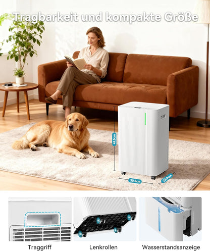 EUHOMY Elektrische luchtontvochtiger 20 l/dag kelder met afvoerbuis, stille en energiezuinige luchtontvochtiger met automatische ontdooiing, timer, luchtontvochtiger voor