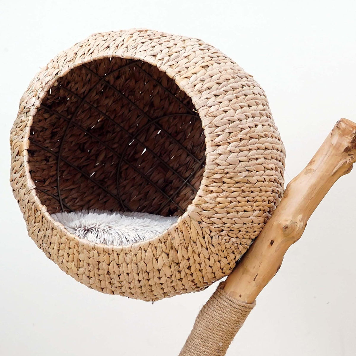 Kattenkrabpaal – Krabpaal – Kattenboom – Krabmeubel – Kattenmeubel – Eivormige Lounger – Perenhout – Zacht Pluche – 83 cm Hoog – Stabiele Rond Basis