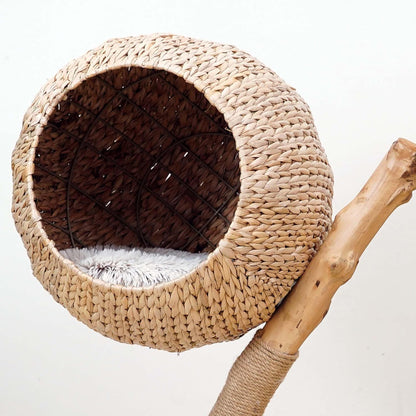 Kattenkrabpaal – Krabpaal – Kattenboom – Krabmeubel – Kattenmeubel – Eivormige Lounger – Perenhout – Zacht Pluche – 83 cm Hoog – Stabiele Rond Basis