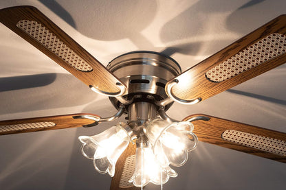 Pepeo 105620191 Kisa Deluxe plafondventilator 105 cm geborsteld nikkelvleugel eiken/walnoot inclusief verlichting en trekschakelaar