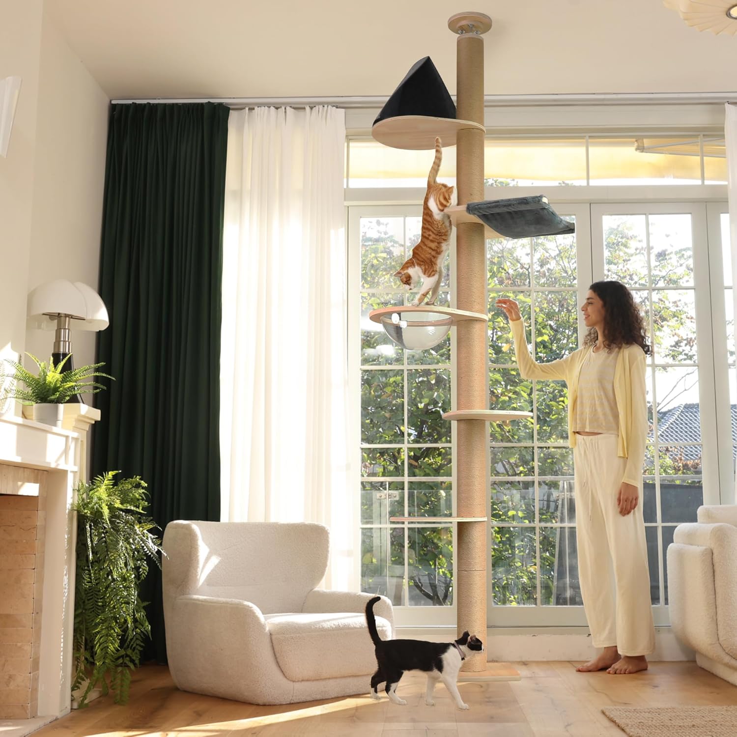 FUKUMARU Cat Tree Cat Tree, 6 Floors, Ceiling Cat Tower (280-300 cm), Wall Mounted Cat Tree, Natural Rubber Wood, with Transparent Space Capsule and Cozy Hammock - QUORE
