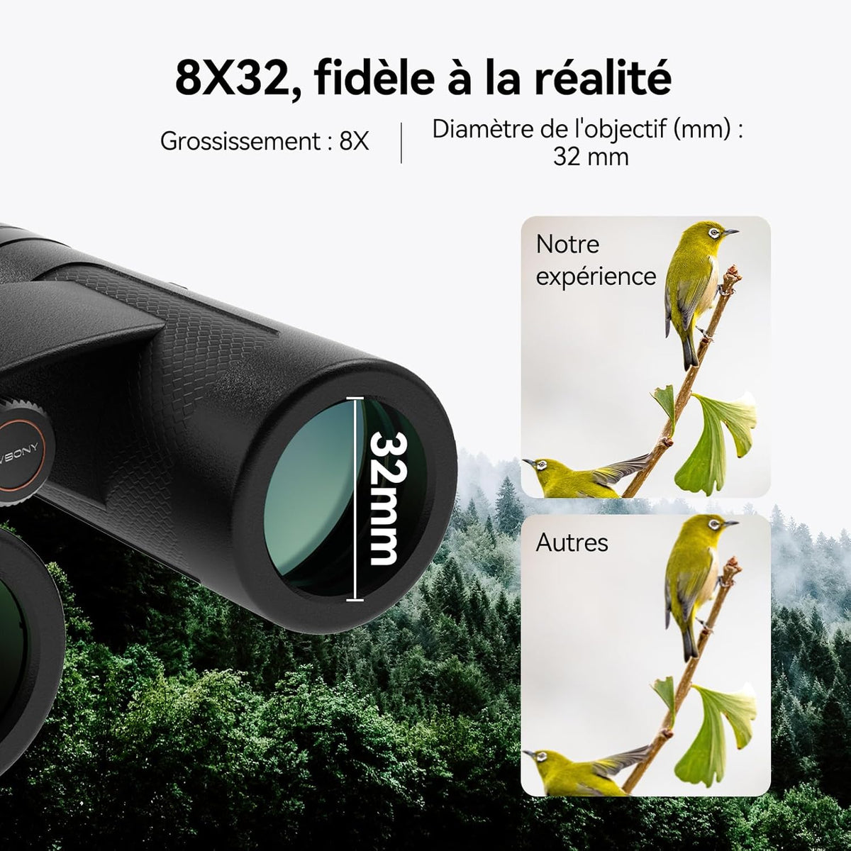 Svbony Upgraded SV202 8x32 ED Binoculars, BAK4 Prism FMC Lens, IPX7 Waterproof, Phase Correction, Dielectric Prism Coating, Wide Angle Lens for Adults, Bird Watching - QUORE