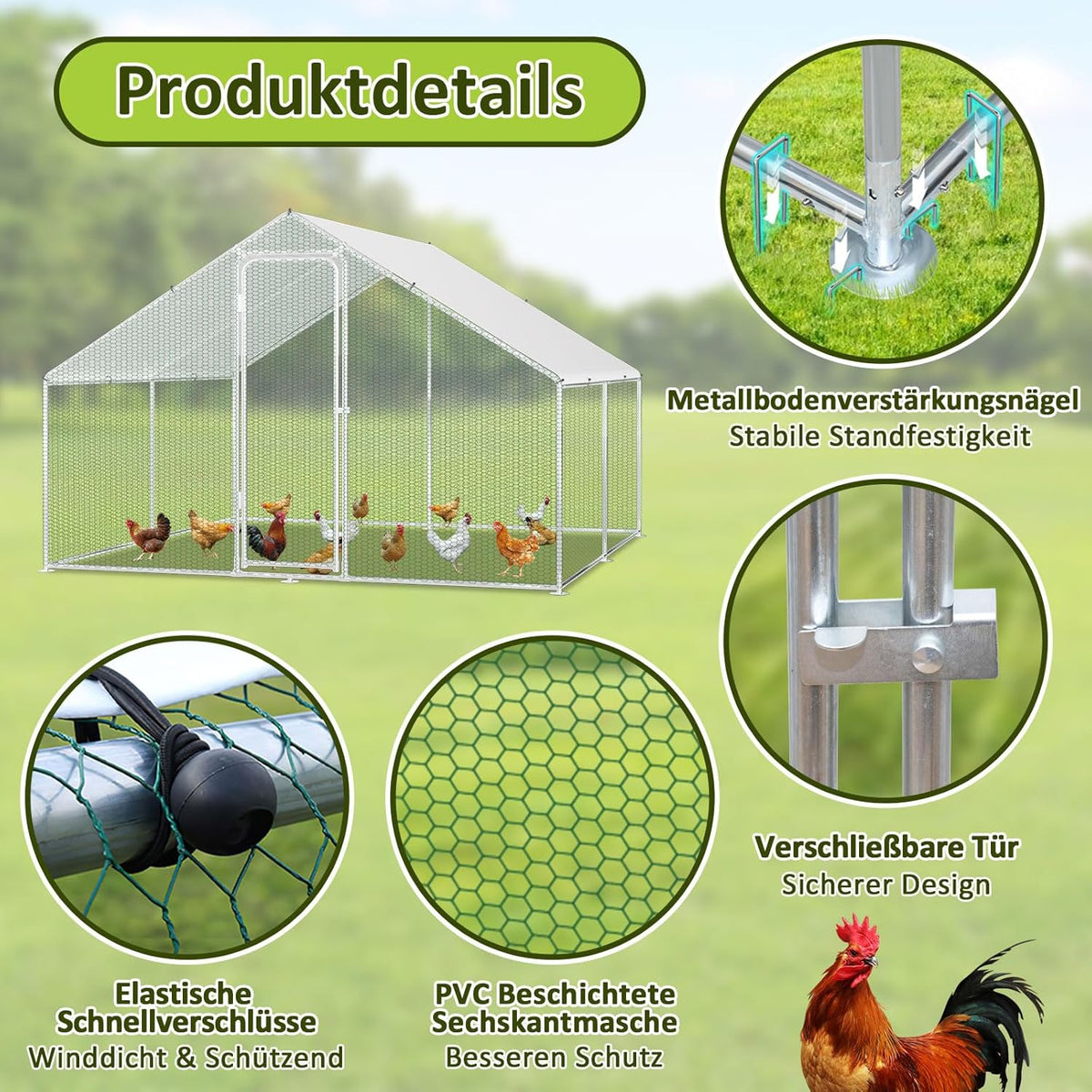 Kippenhok – Buitenren – Dierenhok – Vogelkantoor – Buitenkooi – Verzinkt Stalen Frame – Afmetingen 3x6x2 Meter