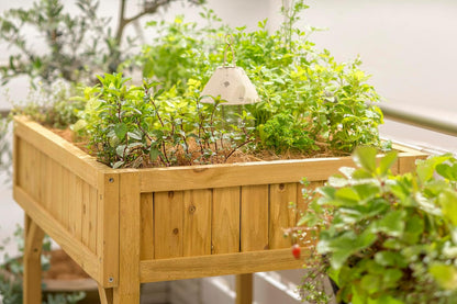 Herb Garden - Natural (FSC 100%)