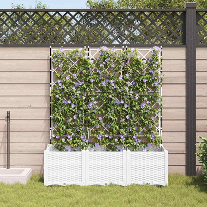 Gecheer Trellis 42002908 Tuinplantenbak, 3 stuks, wit, 120 x 40 x 143 cm, bloembak, bloembak, bloempot, voor balkon, tuin, terras, bloemen - QUORE