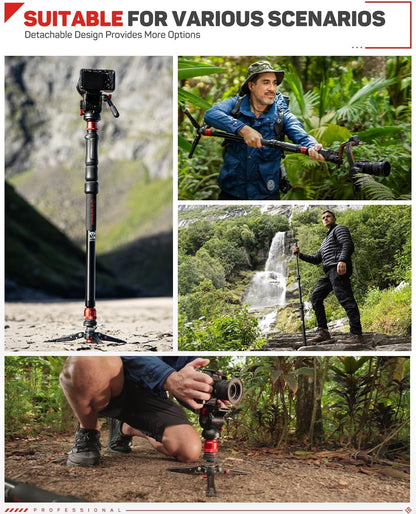 IFOOTAGE Cobra 3 Strike Monopod A150S-III met pedaalvergrendelingsbasis, hoogteverstelling in één stap, maximale belasting 5 kg, 150 cm