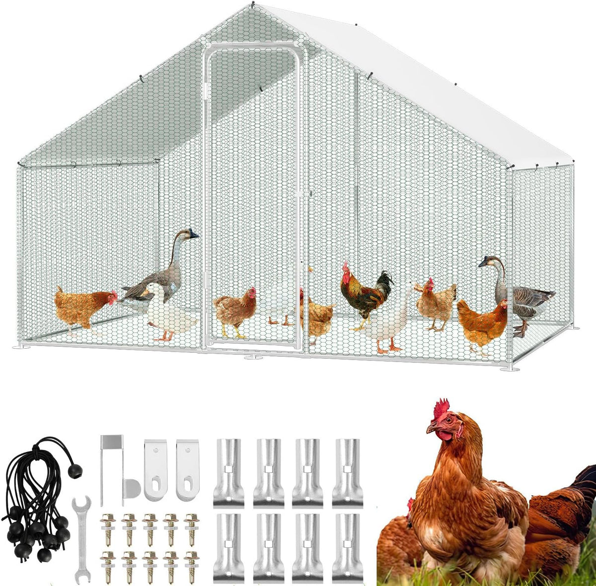 Free Run Chicken Coop 3 x 8 x 2 m Metal Cage for Small Animals with Safety Lock and Waterproof Chicken Spout, Outdoor Run for Chickens, Bird Cage, Plants