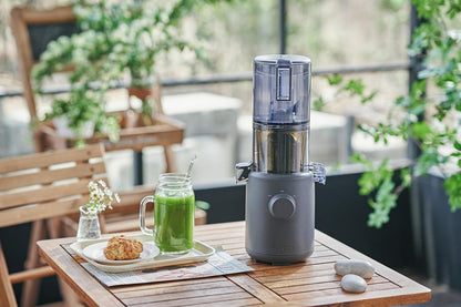 HUROM | Sapcentrifuge | sapcentrifuge voor groenten en fruit | H310A | koude pers | stille motor | gemakkelijk te reinigen | compact design | 220 ml | 100 watt | BPA-vrij (houtskool)