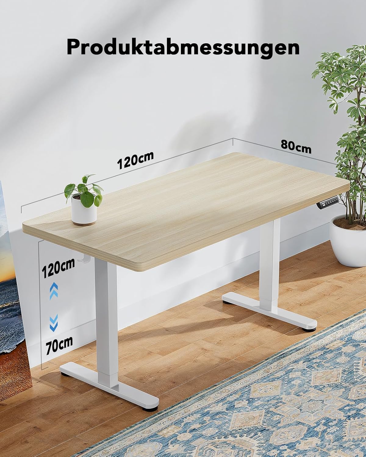 HUANUO Height Adjustable Desk, 120 x 80 cm, 25 mm, Whole Table Top with Brushless Motor, Ergonomic Desk, Height Adjustable, Easy Assembly, Electric Standing Desk for Home Office - QUORE