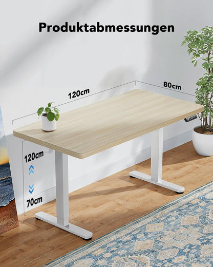 HUANUO Height Adjustable Desk, 120 x 80 cm, 25 mm, Whole Table Top with Brushless Motor, Ergonomic Desk, Height Adjustable, Easy Assembly, Electric Standing Desk for Home Office - QUORE