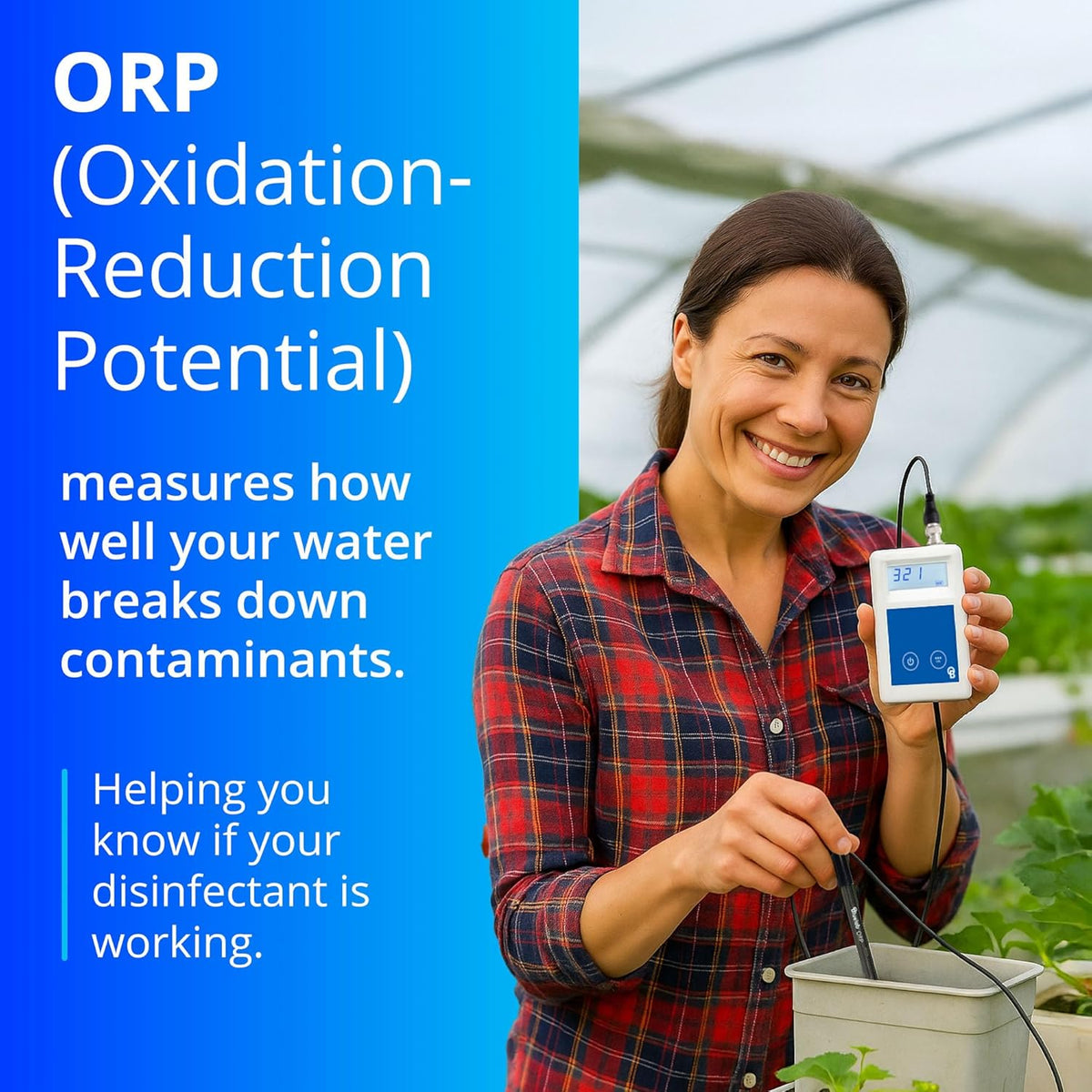 Bluelab ORP-meetinstrument – draagbare redoxpotentiaalmeter (ORP) met verlicht display, verwisselbare sonde en 2 m kabel voor bewaking van de waterkwaliteit