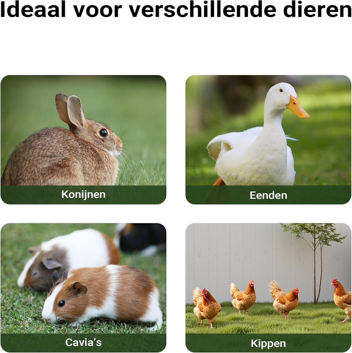 XXL konijnenhok hazenstal vrije loopruimte kleine dieren konijnenkooi kooi huisdieren