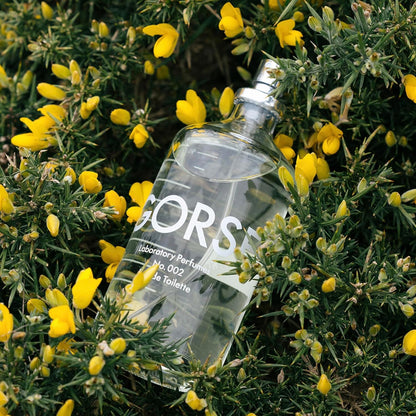 Laboratory Perfumes Gorse Eau de Toilette, Citrus en Kokos Geur, 100ml