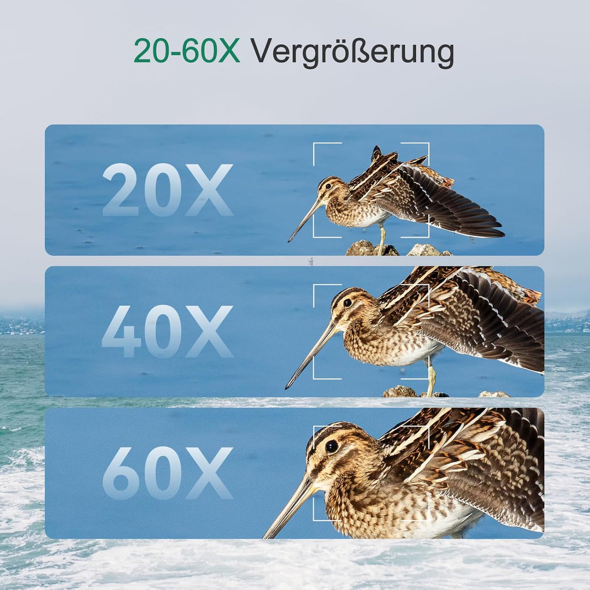 Svbony SV406P ED Spotlights, 20-60 x 80mm 1.25" Zoom Spotlights with Dual Focus FMC BAK4, Spotting Scope for Bird Watching in the Wild Casual Astronomy Photography - QUORE