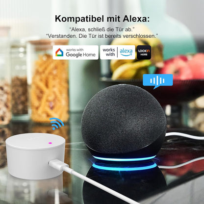 Lockin Smart Lock G30