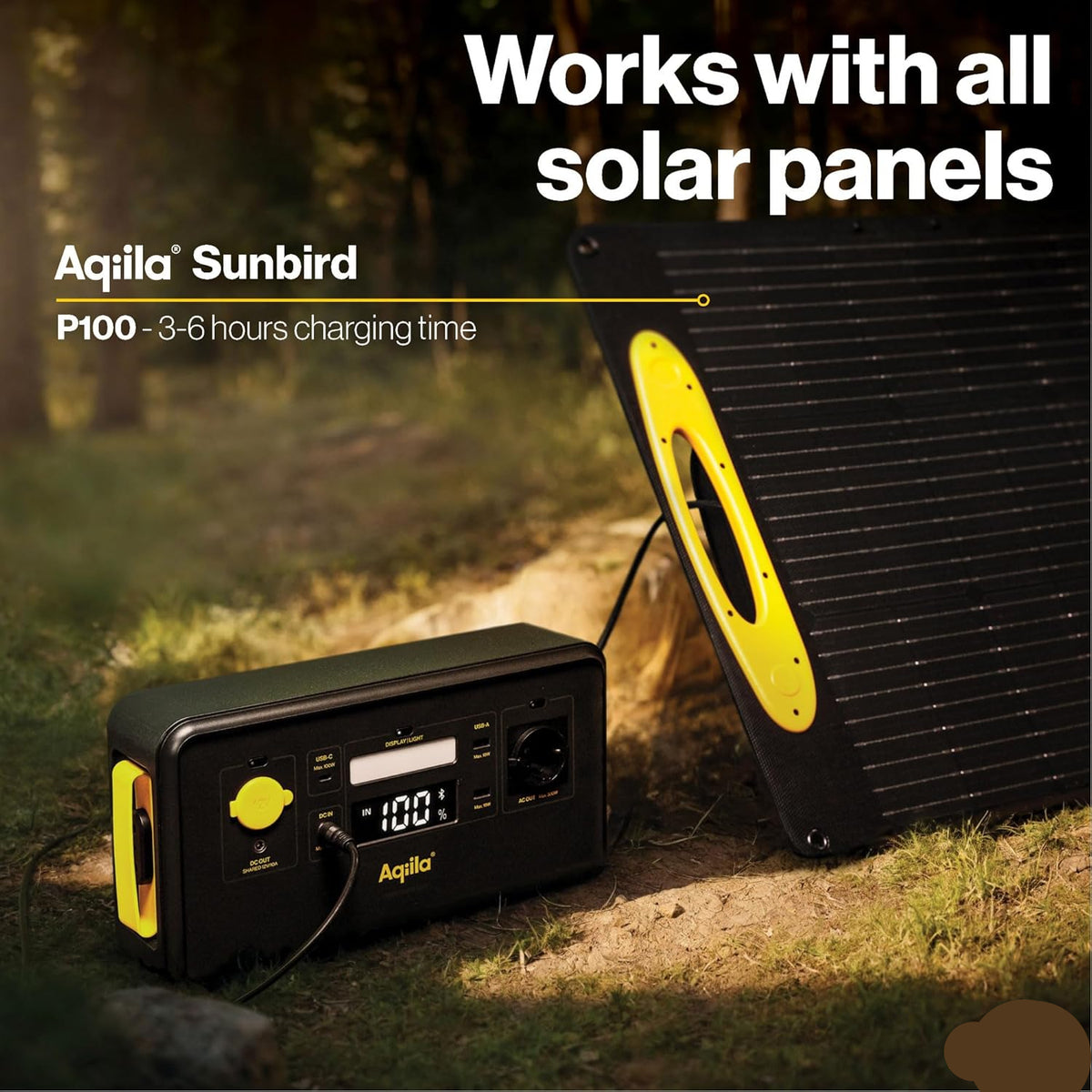 Portable Powerstation 294Wh, 300W, Extremely Long Life, Portable, LiFePo4, Power Bank with Power Outlet, Power Station Generator, Aqiila Powerbird S300 - QUORE