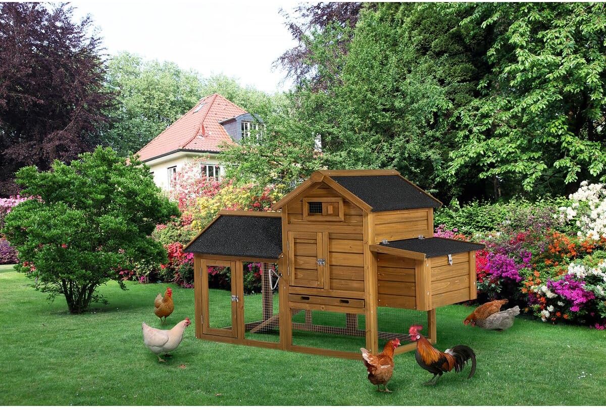 Chicken coop wood with nesting box "Poulette" - Brown - maroon