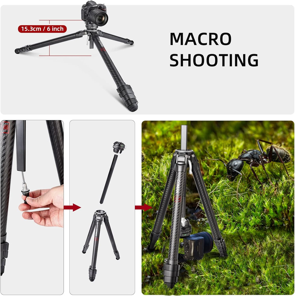 COMAN Zero F38 koolstofvezel statief met 360° panoramische kogelkop en F38 videostatief voor DSLR-camera's, lichtgewicht met hoogte