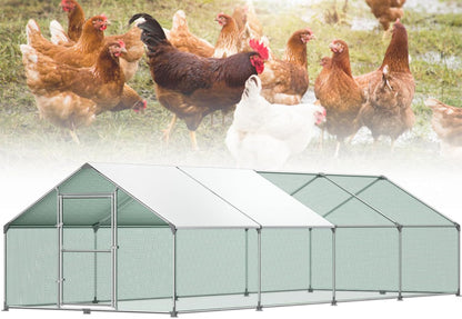 Buitenren Kip – Kippenren – Konijnenhok – Gevogeltekooi – Buitenhok – Verzinkt Stalen Frame – PE Zonnescherm (3x8x2m)