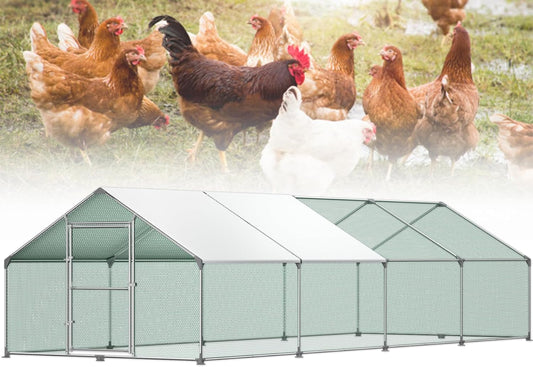 Buitenren Kip – Kippenren – Konijnenhok – Gevogeltekooi – Buitenhok – Verzinkt Stalen Frame – PE Zonnescherm (3x8x2m)