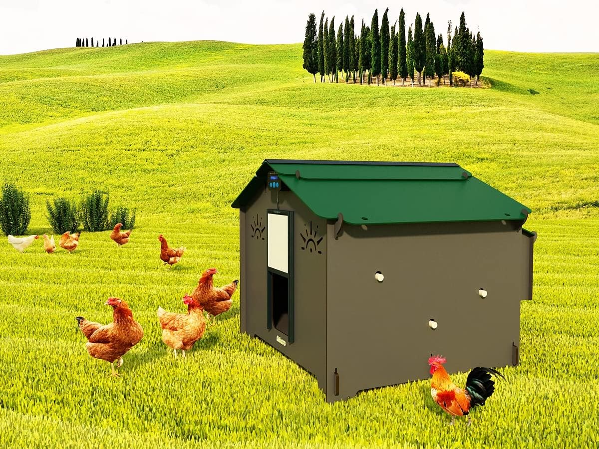 Chicken coop for 15 laying hens with ornaments POLLY CHALET 2XL GREY with 3 perches 2 nesting places outside safe door anti-predator (manual) anti-mite red (Made in Italy) - QUORE