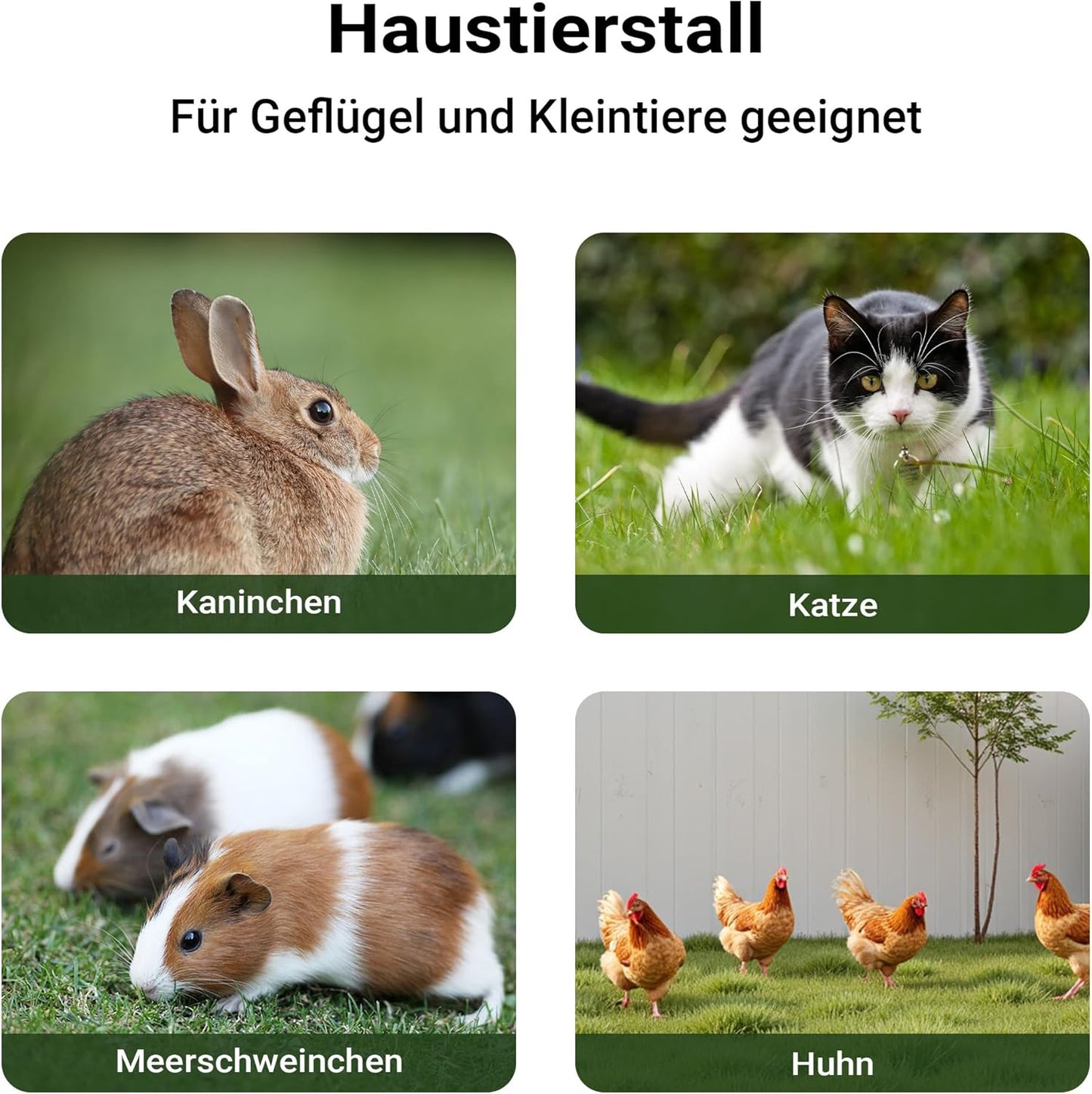 Knaagdierhuis konijnenhok kippenhok kleine dieren stal kooi hok vogelhuis