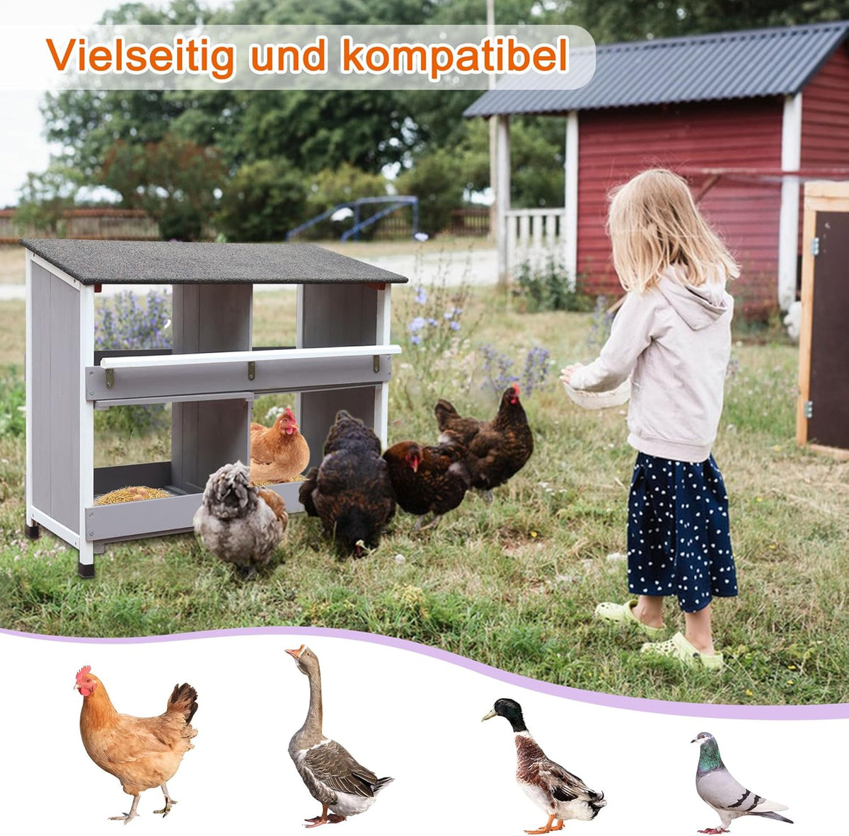 Sleeping nest for chickens, with sloping base, with ventilation holes, easy cleaning, 6 compartments, L x W x H 79 x 52 x 43.5 cm, storage room - QUORE