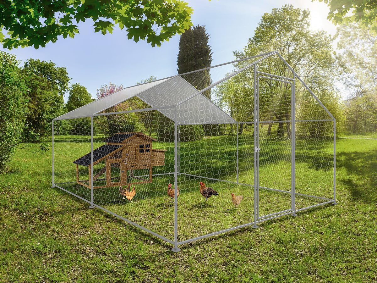 Kippenren – Pluimveetren – Kippenhok – Vogelschutting – Buitenren – Gegalvaniseerd Staal – 9 m² Veilig Oppervlak - QUORE