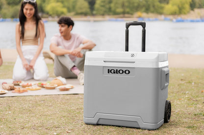 IGLOO IE42 elektrische koelbox 42L – 12V en 230V – Thermo-elektrische koelbox met wielen en telescoopgreep voor auto, camper, camping en vrachtwagen – Koelt tot 20 °C onder de omgevingstemperatuur