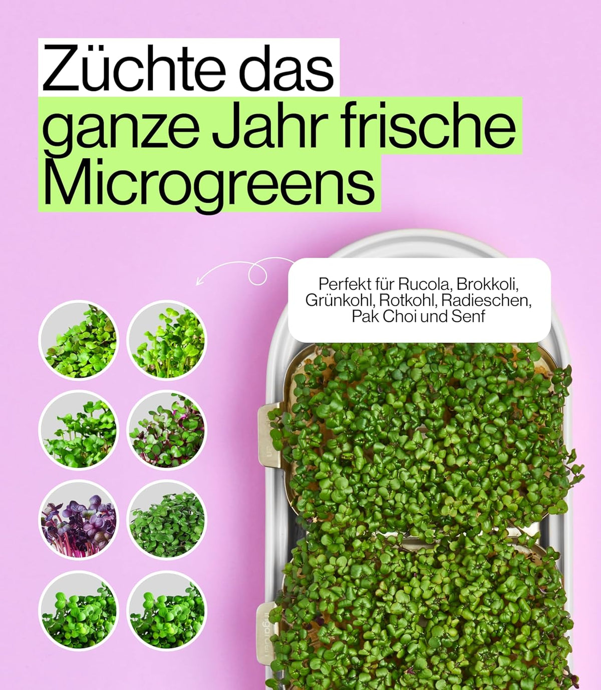 Smart Garden Starter Set - Indoor LED Groenbak - 12 Biologische Zaadpads - Oceaanplastic Wit - Scandinavisch Design - 7 Dag Oogst