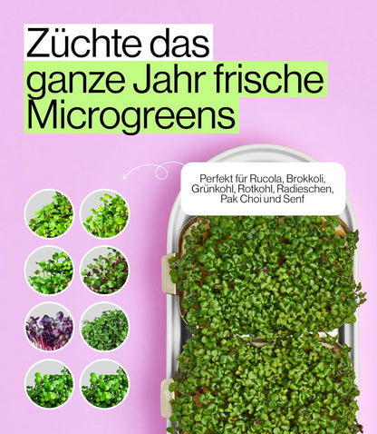 Smart Garden Starter Set - Indoor LED Groenbak - 12 Biologische Zaadpads - Oceaanplastic Wit - Scandinavisch Design - 7 Dag Oogst