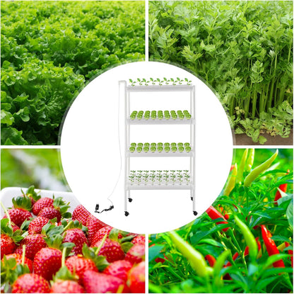 OUKANING 4 Tier Hydroponic System, 108 Holes, Home Hydroponic Grow Kit with 12 V Water Pump (55 Gal/h) Timer, 4 Wheels and Plant Baskets for Salad, Herbs, Vegetables - QUORE