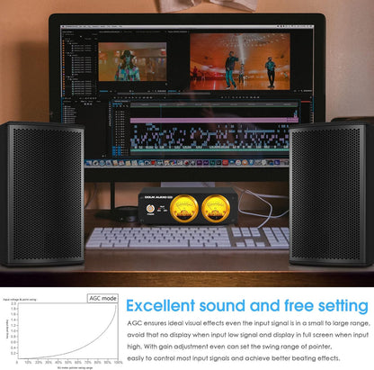Douk Audio VU22 Dubbele analoge VU-meter display, DB-paneel, muziekspectrum, MIC en LINE geluidsniveaumeter, audio-indicator
