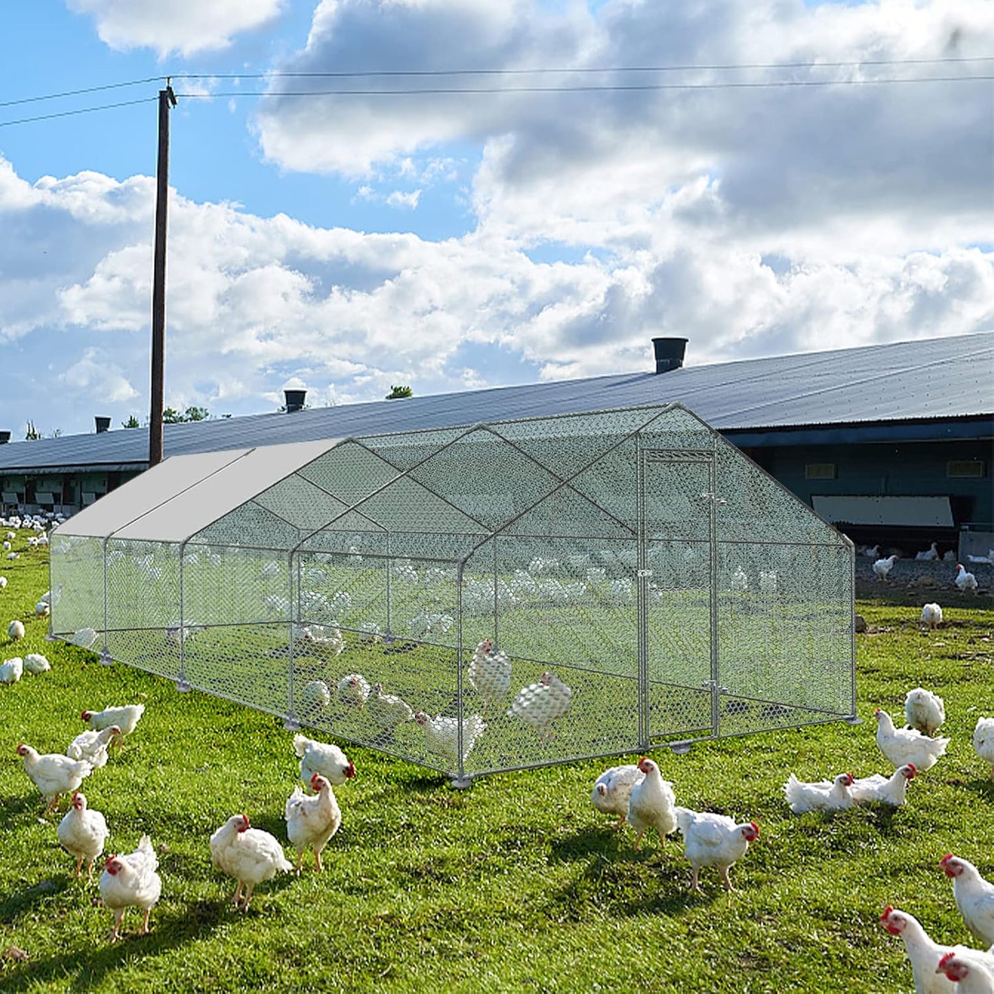 Kippenhok – Kippenren – Pluimveeverblijf – Buitenhok – Konijnenren – Groot 3x8x2m – Gegalvaniseerd Staal – Waterdichte PE-Cover