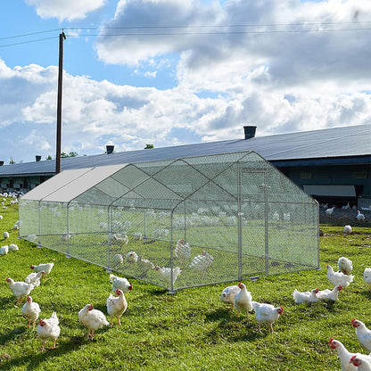 Kippenhok – Kippenren – Pluimveeverblijf – Buitenhok – Konijnenren – Groot 3x8x2m – Gegalvaniseerd Staal – Waterdichte PE-Cover
