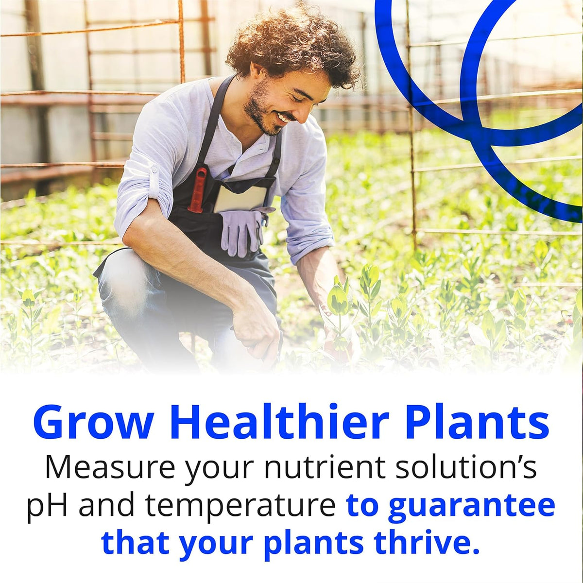 Bluelab pH-Pen & Care Kit met kalibratieoplossing, opslag en kwast – digitale tester voor pH & temperatuur in bodem/oplossingen, zorgt voor optimale gezondheid van planten en opbrengst
