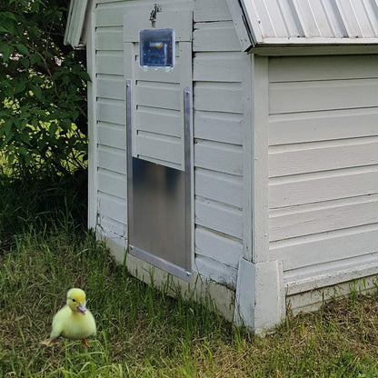 Rural365 Automatic Chicken Coop Electronic Automatic Chicken Opener Panel Sliding Door with Light Sensor