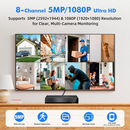 8-kanaals CCTV bewakingsDVR met 2 TB HDD, 8 Ch 5MP H.265+ DVR video-recorder voor analoge XVI AHD TVI IP-camera's, DVR voor beveiligingscamera-bewakingssysteem voor thuis, mobiele app en pc (systeem)