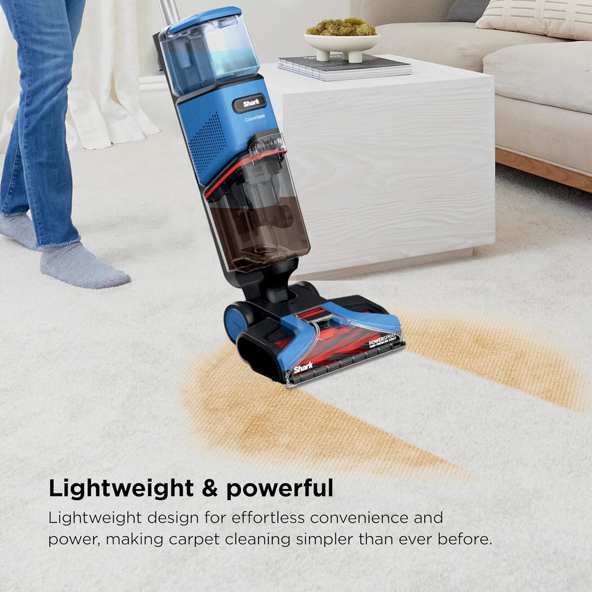Shark EX121BRN CarpetXpert Upright Pet Carpet Cleaner Deep Cleaning Dirt and Dirt Removal Carpet Shampoo, Blue - QUORE