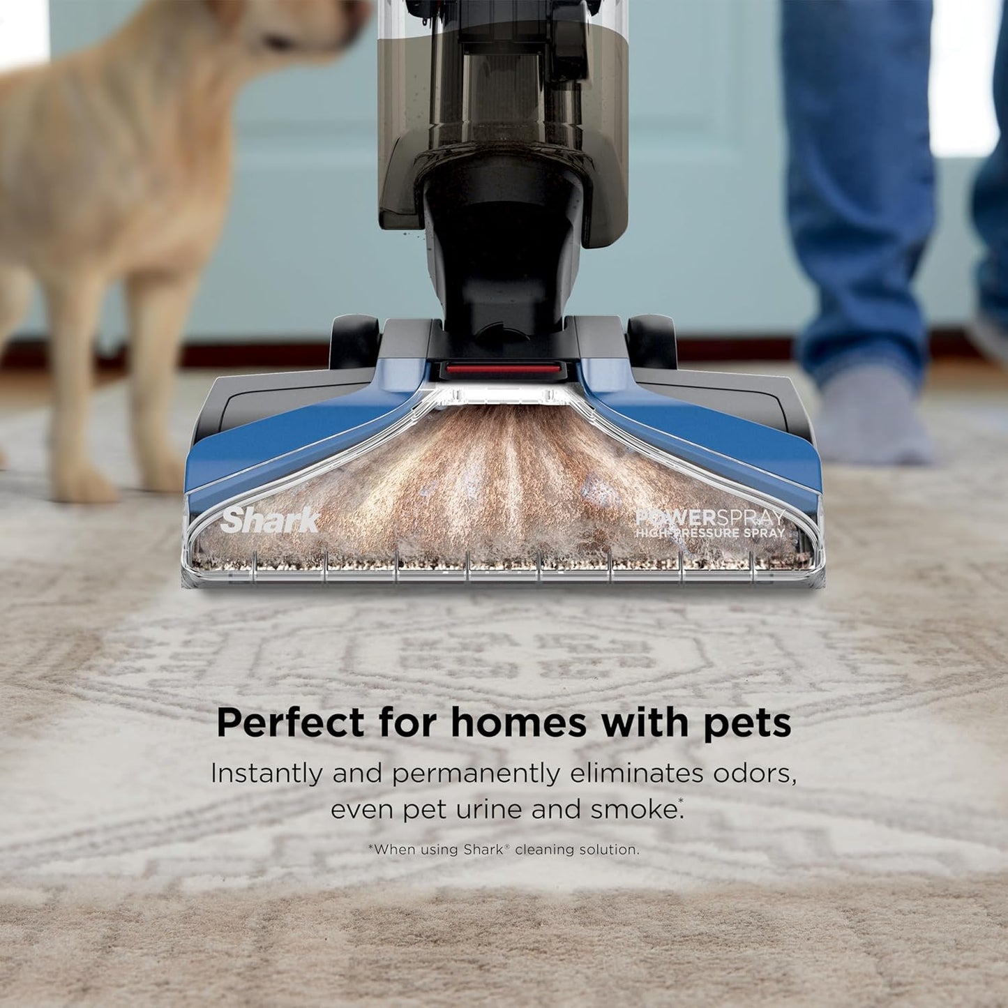 Shark EX121BRN CarpetXpert Upright Pet Carpet Cleaner Deep Cleaning Dirt and Dirt Removal Carpet Shampoo, Blue - QUORE