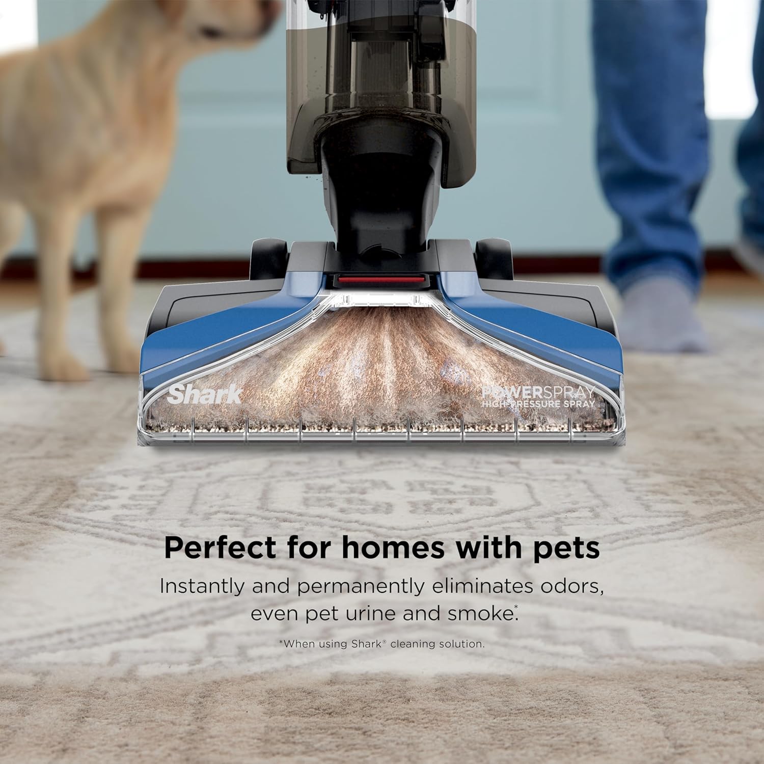 Shark EX121BRN CarpetXpert Upright Pet Carpet Cleaner Deep Cleaning Dirt and Dirt Removal Carpet Shampoo, Blue - QUORE